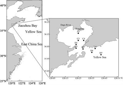 Annual variations of abundance, egg production rate, and community structure of Oithona similis in Jiaozhou Bay, the Yellow Sea